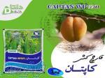 قارچ کش کاپتان 