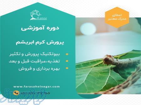 کرم ابریشم چطوری پرورش بدیم و ازش کسب درآمد کنیم؟ 