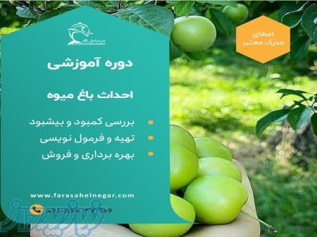 احداث باغ میوه دوره آموزشی احداث باغات میوه 