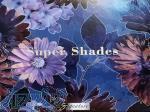 آلبوم کاغذ دیواری سوپر شیدز SUPER SHADES 