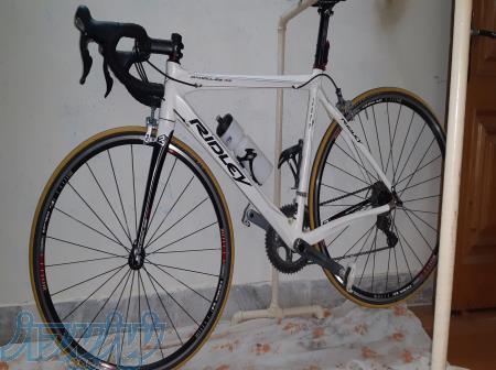 دوچرخه کوریب فول کربن ridley 