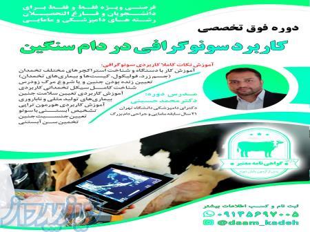 دوره فوق تخصصی سونوگرافی گاو در تبریز 