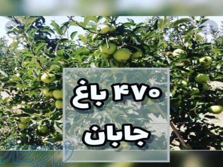 دماوندگردی   سایت خرید و فروش املاک در دماوند و گیلاوند (ارزانترین) 