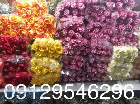 فروش عمده گل شاخه بریده 