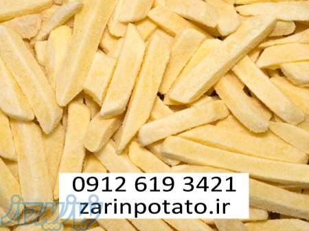 فروش سیب زمینی نیمه اماده بسته بندی و فله