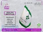 پرچم بیمه کارآفرین