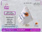 پرچم ایرلاین تابان