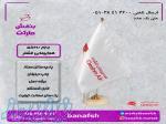 پرچم هواپیمایی قشم