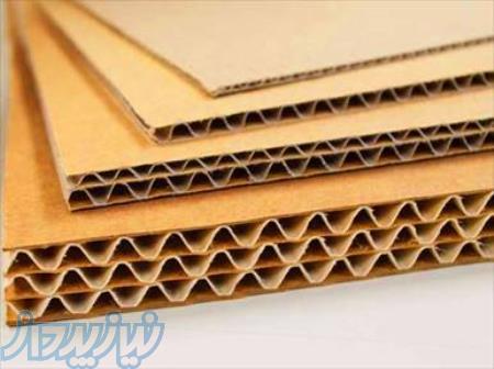 تولید و پخش رول مقوای مغزی جهت کارتن سازی 