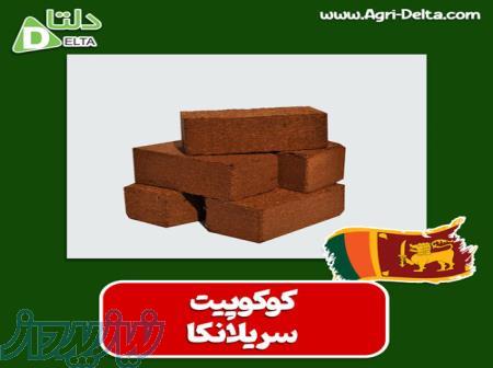 فروش کوکوپیت سریلانکا 