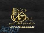 شرکت بین المللی گیسو 