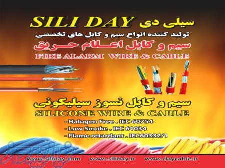 سیلی دی siliday 