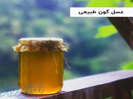 خرید عسل طبیعی 