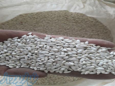 فروش کافشه عالی 