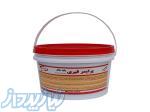 پرایمر قیری