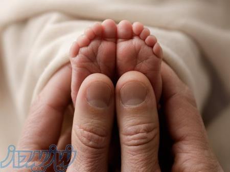 دکتر لیلا خلیلی پزشک زنان و زایمان و زیبایی 