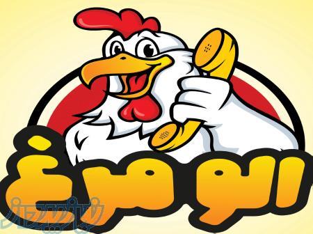 الومرغ - alomorgh 