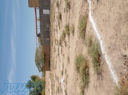 فروش زمین ۱۰۰متری یحیی اباد 