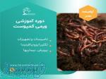 دوره آموزشی کارشناس ورمی کمپوست فراساحل نگار 