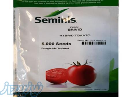 بذر گوجه بریویو 