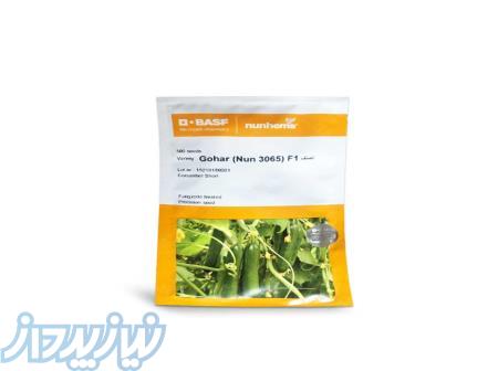 بذر خیار گلخانه ای پر گل گوهر 