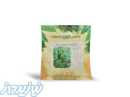 بذر خیار فاریس 