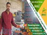 خرید گوجه فرنگی گلخانه ای برای صادرات 