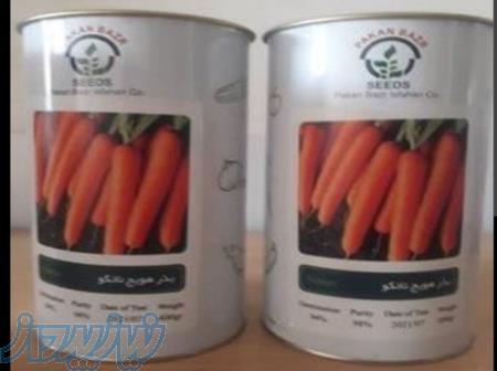 بذر هویج نانکو 