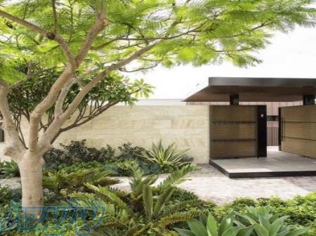 طراحی فضای سبز 