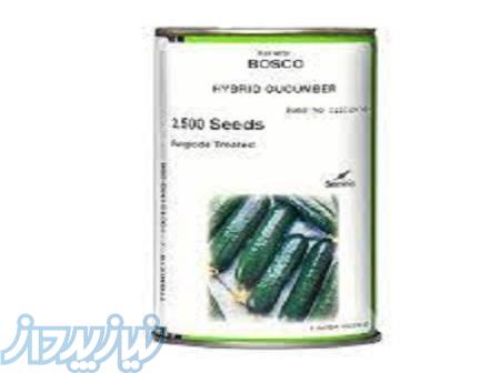 بذر خیار فضای باز بوسکو 