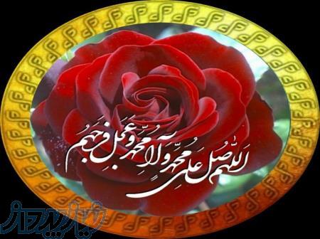 فروش طرح جاودان سازی گیاهان طبیعی 