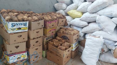 تنباکو روستای بنیاد استان بوشهر