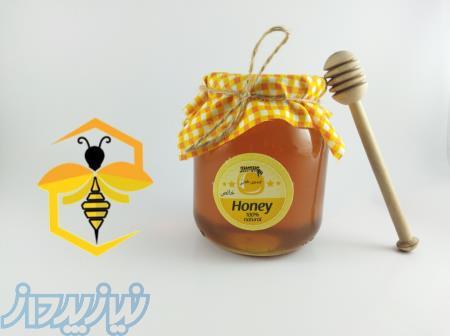 عسل طبیعی کندوی طلایی 