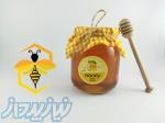 عسل طبیعی کندوی طلایی 