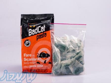 شرکت فردوس رای 