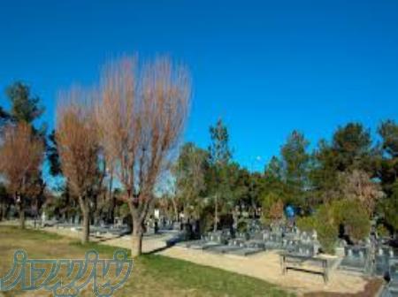 ۲ قبر در قطعه ۸ بهشت زهرا