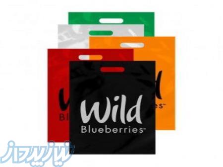 چاپ کیسه و نایلون با رنگ های درجه یک 