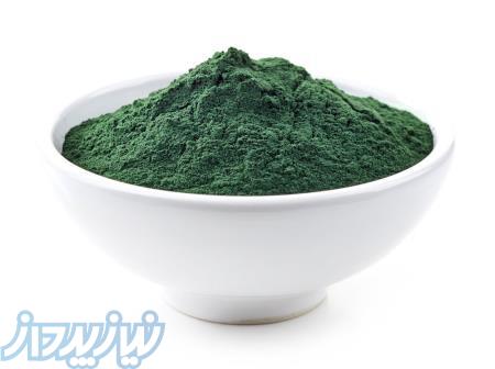 پودرخوراکی جلبک اسپیرولینا 