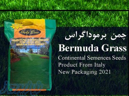 قیمت و خرید بذر چمن برموداگراس ایتالیایی، چمن آفریقایی 