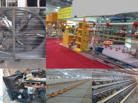 فروش کلیه تجهیزات مرغداری گوشتی ،مادر و تخمگذار 