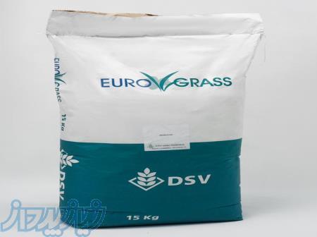 بذر چمن فستوکا یورورگراس - قیمت و خرید بذر چمن - فروشگاه بذر کالا 