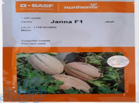 بذر ملون جانا 