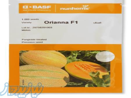بذر ملون ، خربزه اوریانا نانهمز 