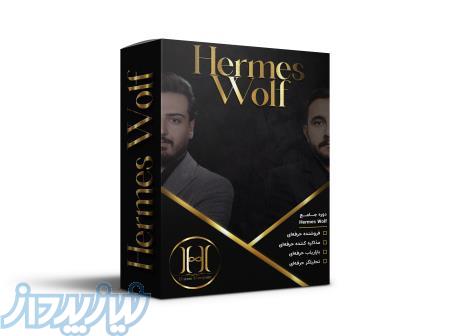 دوره جامع فروش و بازاریابی و مذاکره Hermes Wolf 
