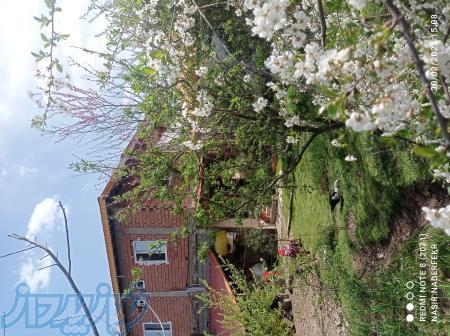 ویلا و سوئیت اجاره ای 