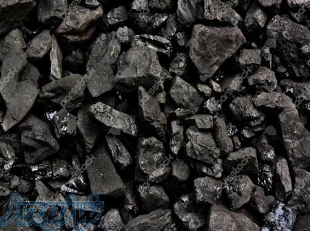 زغال کبابی و جنگلی 