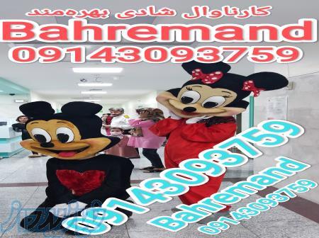کرایه  تن پوش عروسکی بهره مند 09143093759 جهت استفاده در جشن تولد و مهد کودک و مراکزفرهنگی و تفریحی 