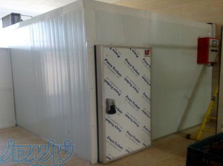 سردخانه و تونل انجماد 