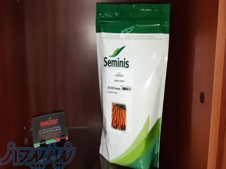 بذر هویج۲۳۱۳ 