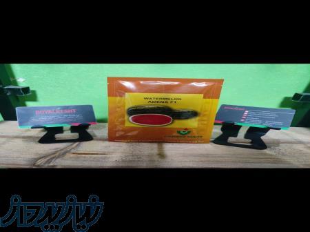 بذر هندوانه آدنا 